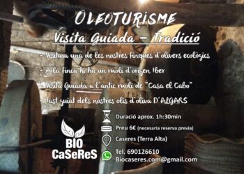 Oleoturismo en Tarragona