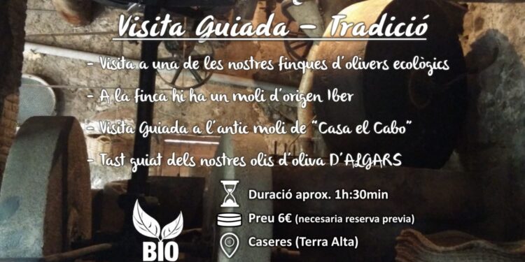 Oleoturismo en Tarragona