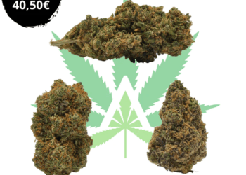 Flores CBD Igualada