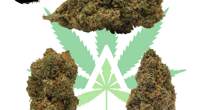 Flores CBD Igualada