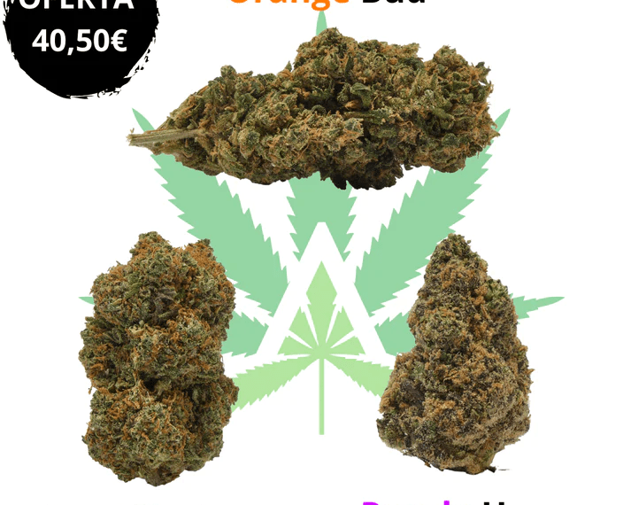 Flores CBD Igualada