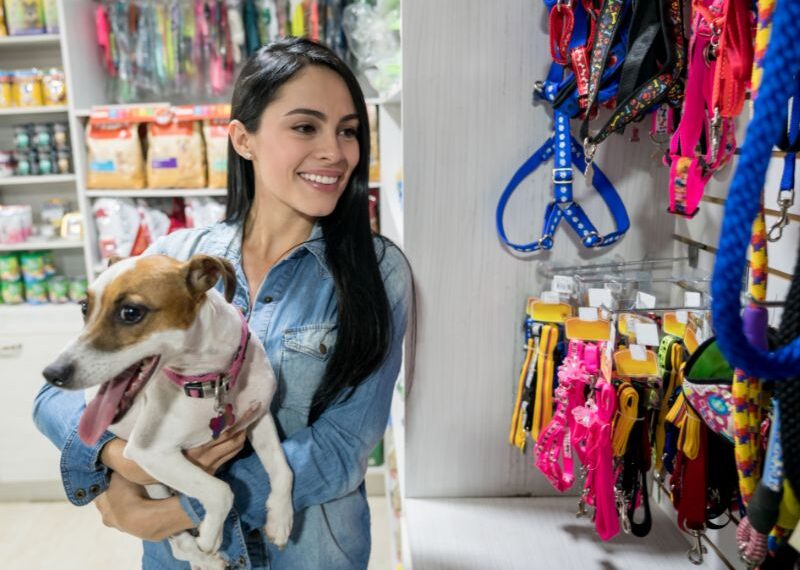 Arneses para perros Ciudad Real