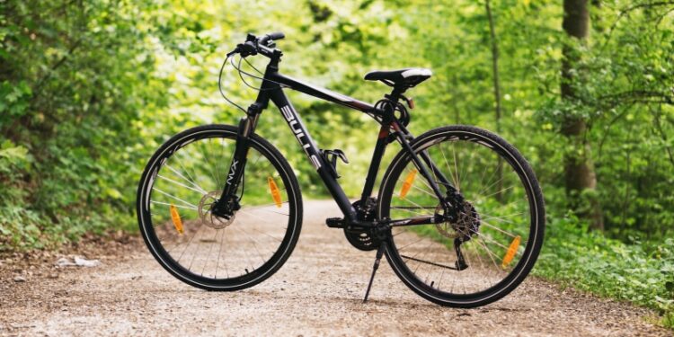 Remolque para bici online