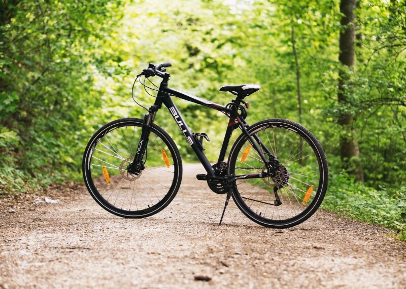 Remolque para bici online